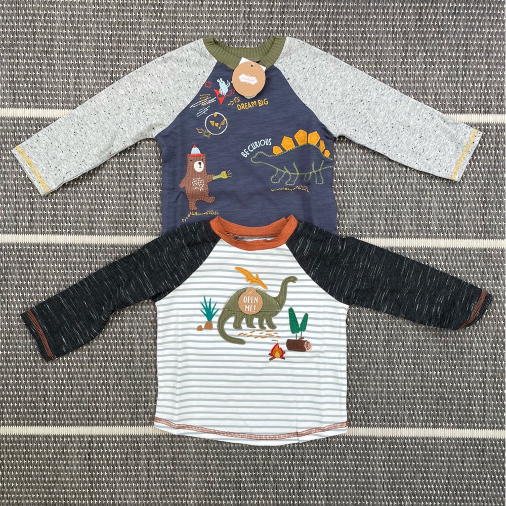 Bundle of 2 Toddler Tees, 12-18M